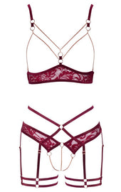 Abierta Fina Open Red Lace Set